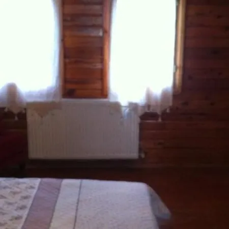 Sapanca Tas Ev 4*