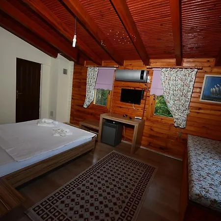 Sapanca Tas Ev 4* Darıca