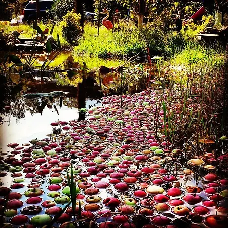 Sapanca Tas Ev 4* Darıca