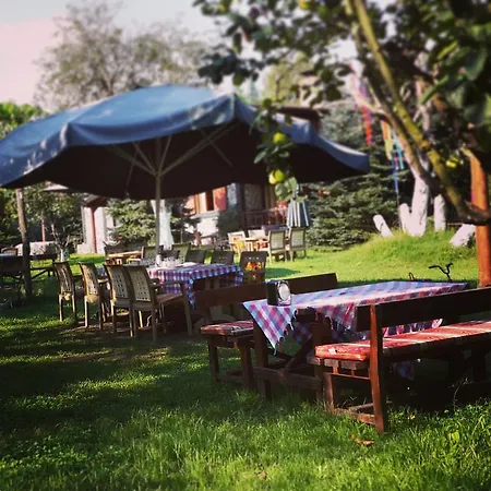 Sapanca Tas Ev 4* Darıca