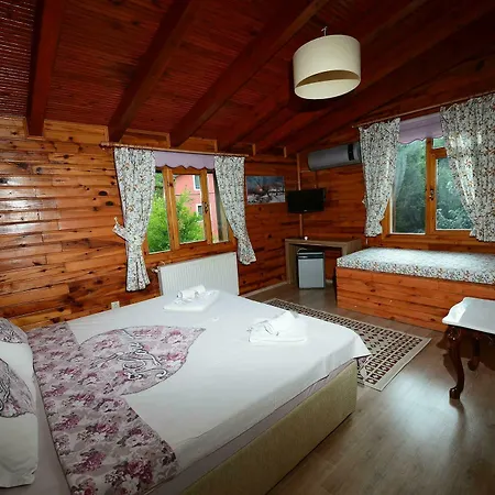 Nocleg ze śniadaniem Sapanca Tas Ev Darıca