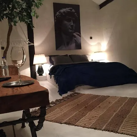 Sapanca Tas Ev Darıca