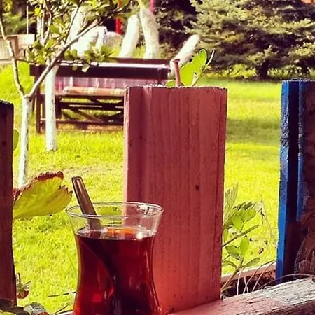 Sapanca Tas Ev 4* Darıca