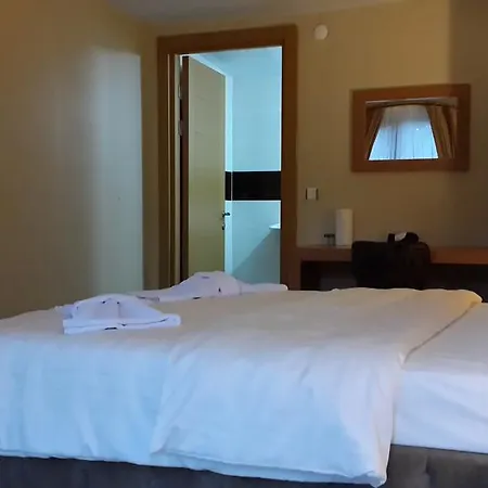 Sapanca Tas Ev 4*