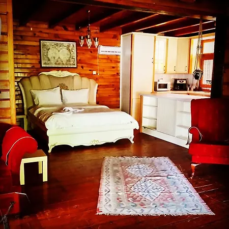 Sapanca Tas Ev Bed & Breakfast Darica (Marmara)