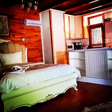 Bed & Breakfast Sapanca Tas Ev 4*