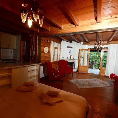 Sapanca Tas Ev 4*