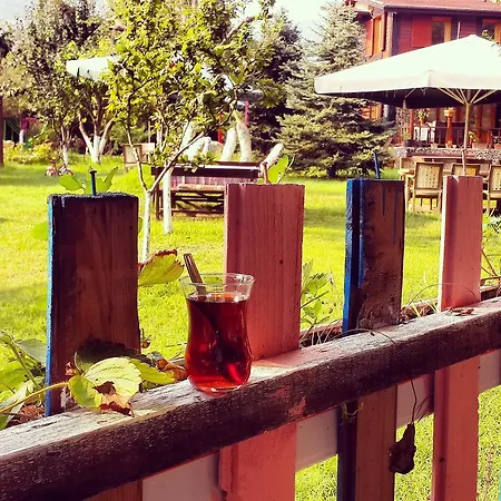 Sapanca Tas Ev Darıca