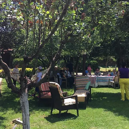 Sapanca Tas Ev Darıca