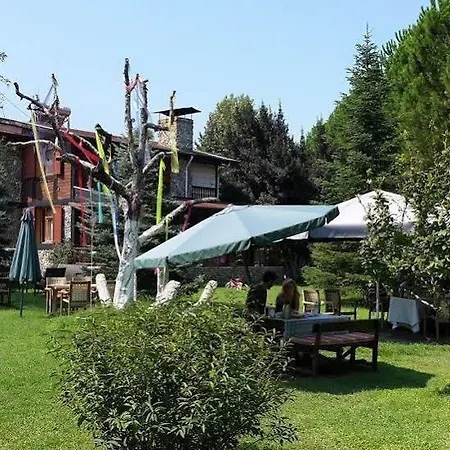 Sapanca Tas Ev 4*