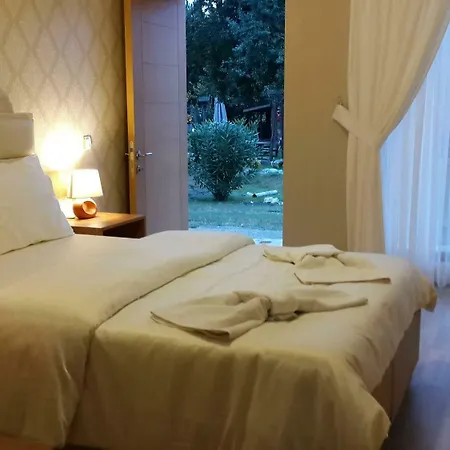 Sapanca Tas Ev Darıca