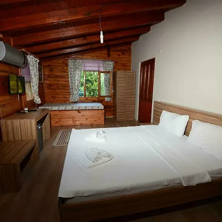 Bed & Breakfast Sapanca Tas Ev 4*