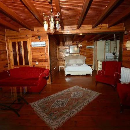 Sapanca Tas Ev Darıca