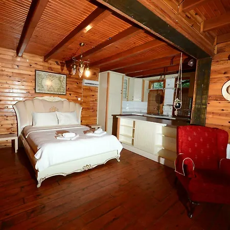 Bed & Breakfast Sapanca Tas Ev 4*