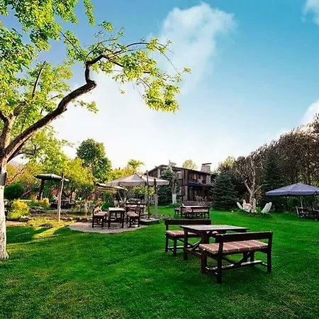 Sapanca Tas Ev Bed & Breakfast 4*