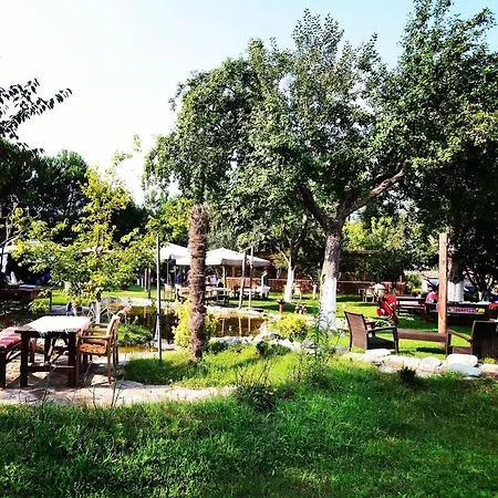 Sapanca Tas Ev Alojamento de Acomodação e Pequeno-almoço Darıca