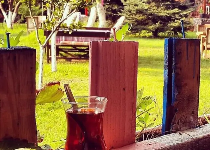 Sapanca Tas Ev 4* Darıca