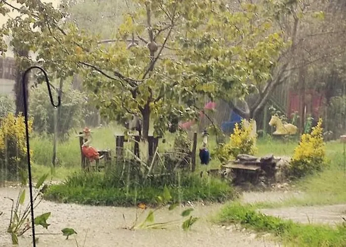 Sapanca Tas Ev Oda ve Kahvaltı