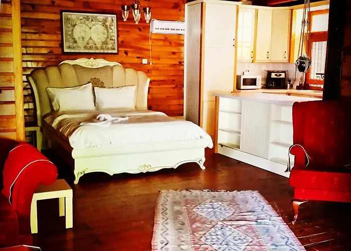 Sapanca Tas Ev Oda ve Kahvaltı Darıca