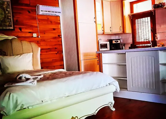 Oda ve Kahvaltı Sapanca Tas Ev 4*