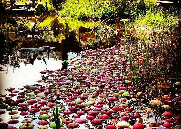 Sapanca Tas Ev 4* Darıca