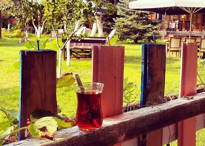 Sapanca Tas Ev Darıca