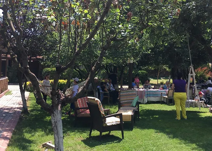 Sapanca Tas Ev Darıca