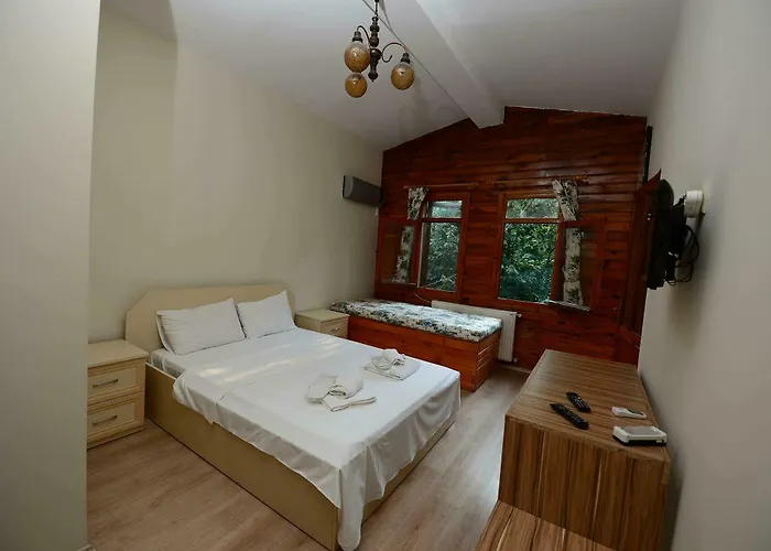 Sapanca Tas Ev Oda ve Kahvaltı Darıca