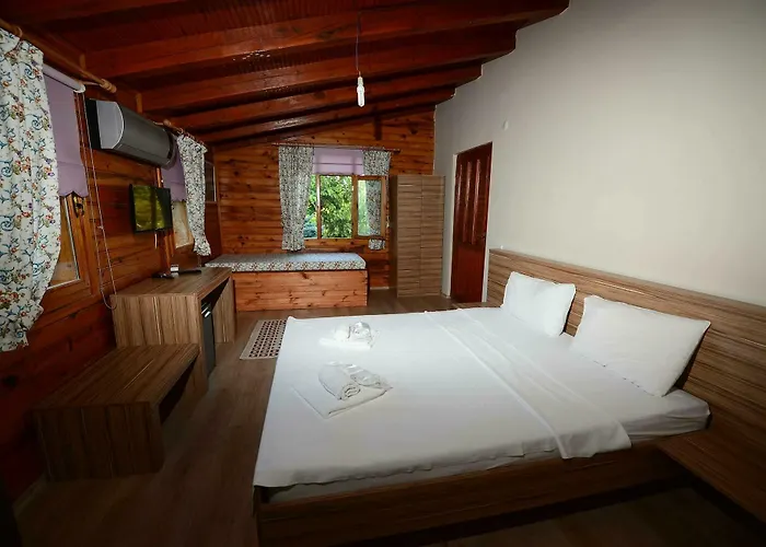 Oda ve Kahvaltı Sapanca Tas Ev 4*