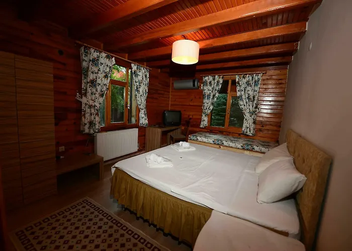 Oda ve Kahvaltı Sapanca Tas Ev Darıca