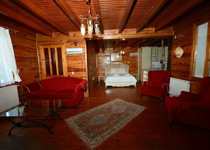 Sapanca Tas Ev Darıca