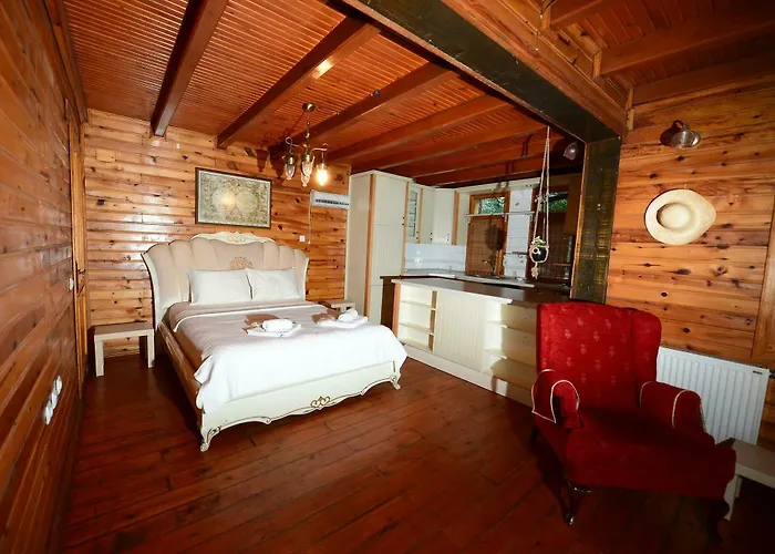 Oda ve Kahvaltı Sapanca Tas Ev 4*