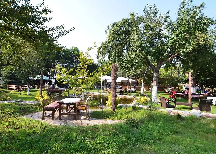 Oda ve Kahvaltı Sapanca Tas Ev